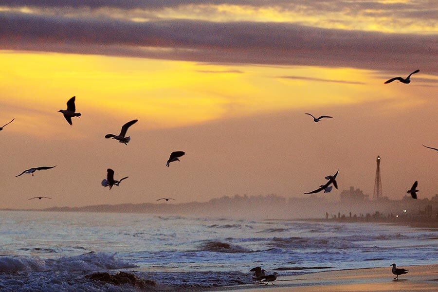 Playa de Monte Hermoso al atardecer