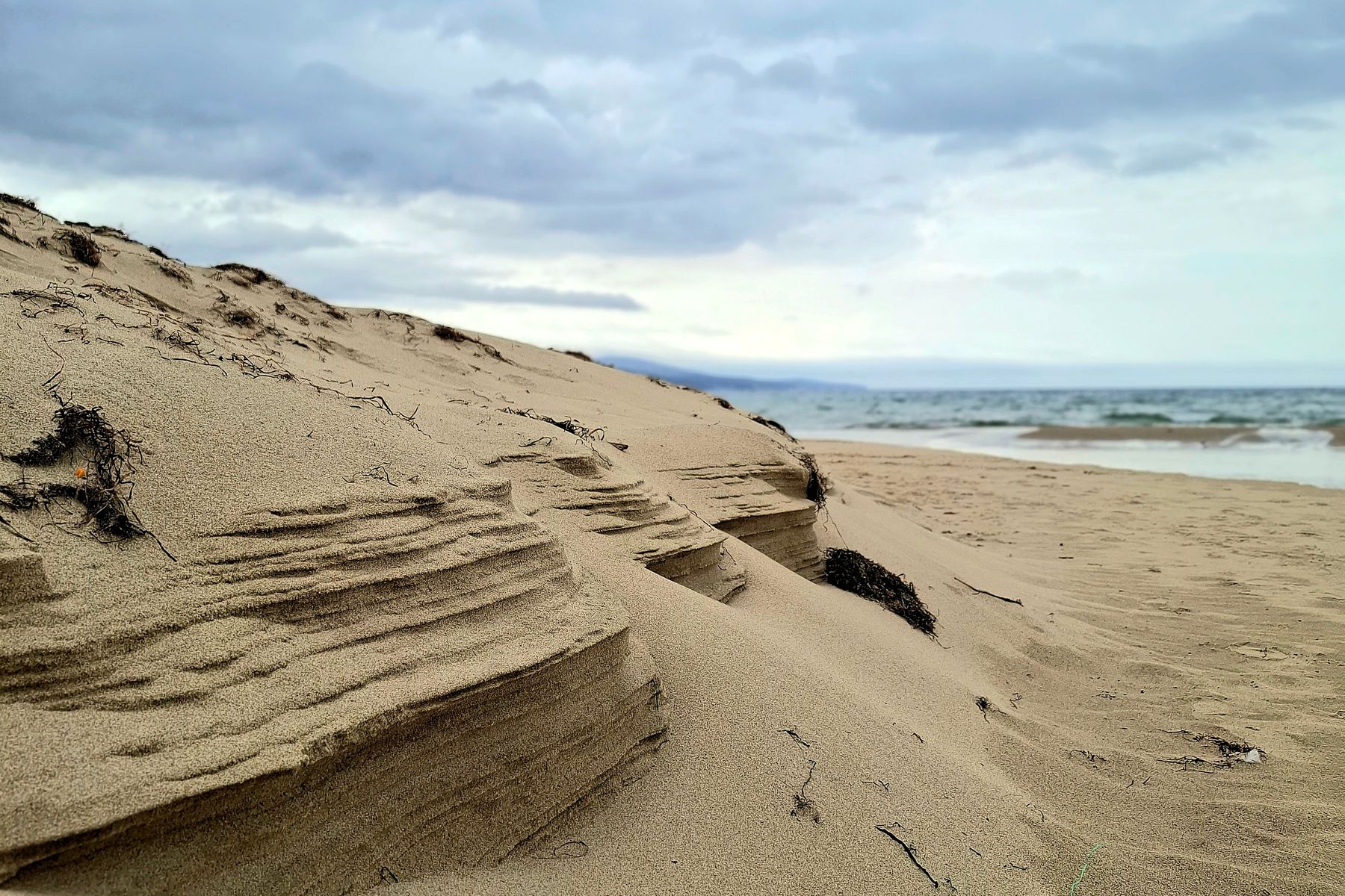 Dunas junto al mar bajo un cielo nublado