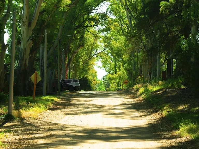 galeriasauce01 768x576